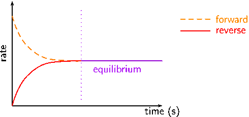 How dynamic equilibrium is established