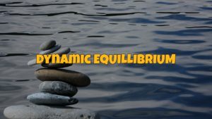 dynamic equillibrium