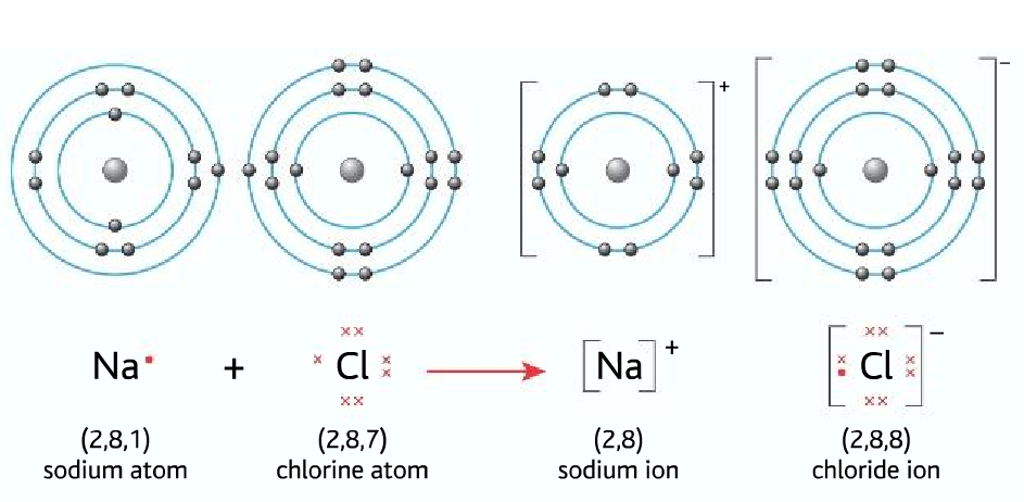 nacl dot-cross diagram