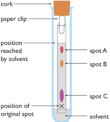 chromatography