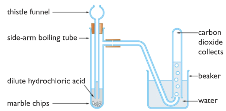 making carbon dioxide in lab